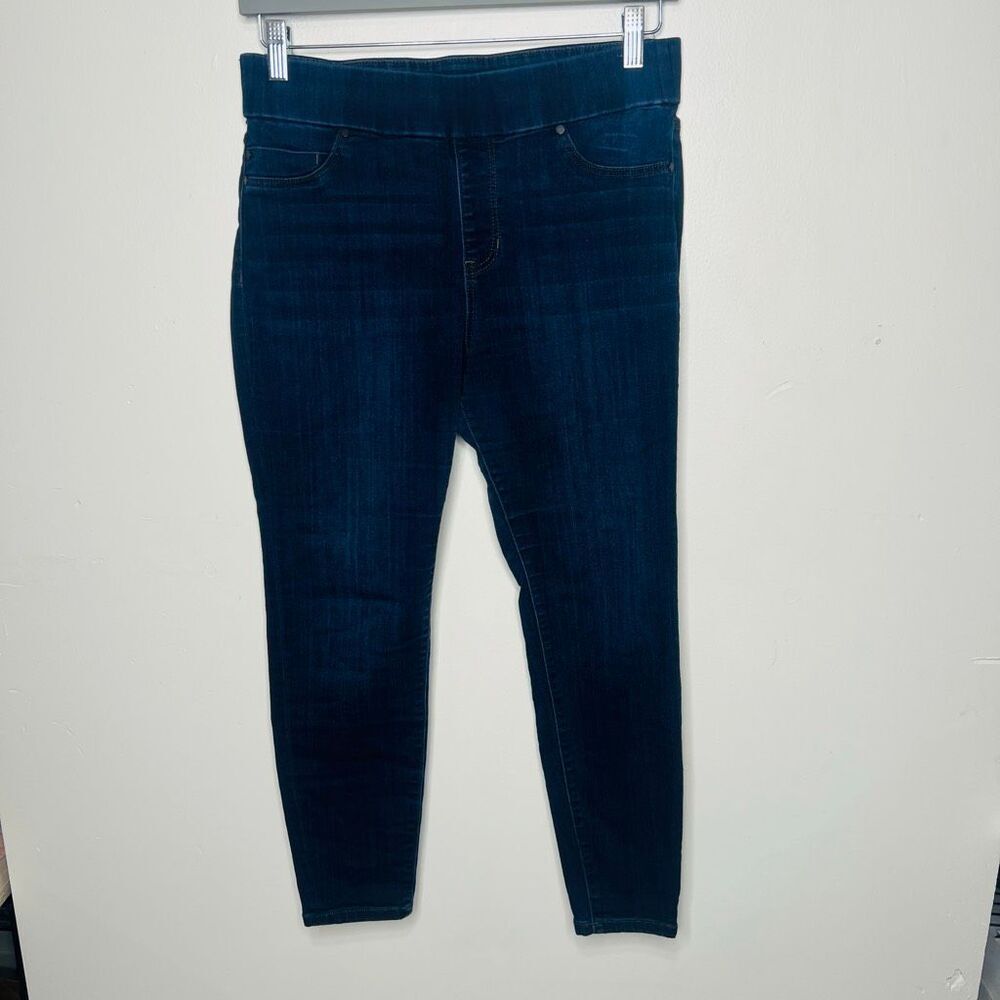 Liverpool Stretch Pull-on Jeggings Sz 8/29 Petite Dunmore Dark